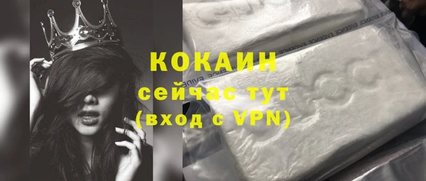 метадон Алексин