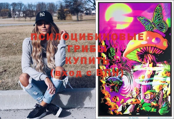 прущие грибы Алексеевка