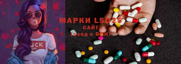 прущие грибы Алексеевка
